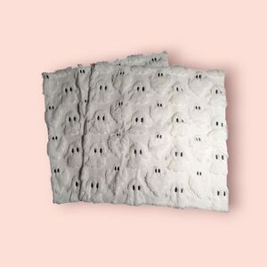 Set of Ghost Throw Pillow Cases- NWT